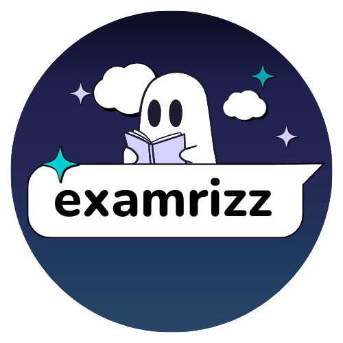 Examrizz