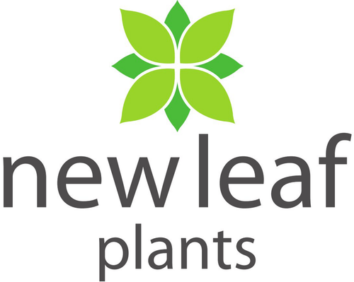 New Leaf Plants