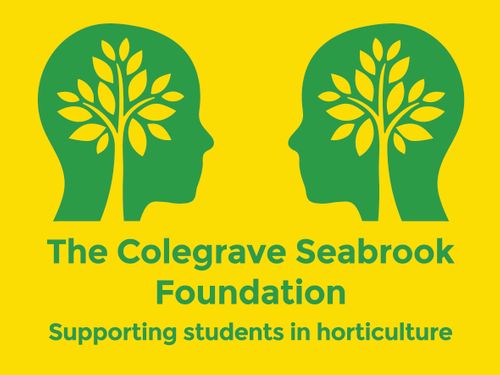 Colegrave Seabrook Foundation