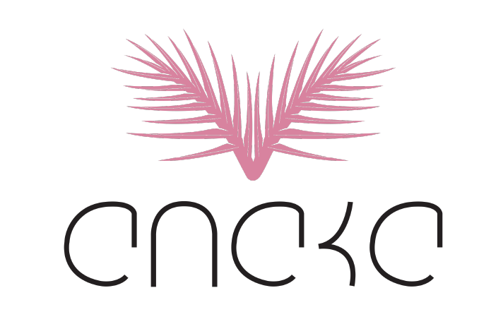 ANAKA - LANA SARL
