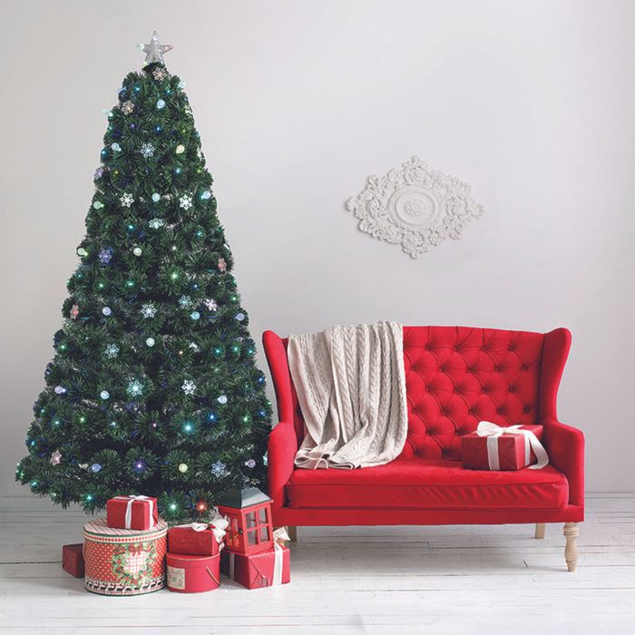 Living Christmas Tree 2022 Times Christmas Trees - Autumn Fair 2022 - 4-7 September 2022