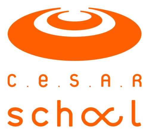 Cesar School
