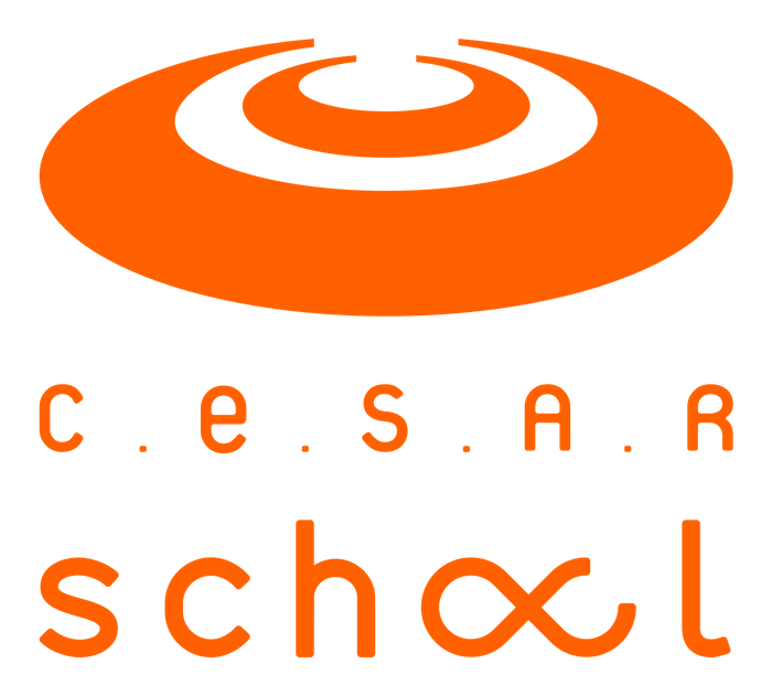 Cesar School