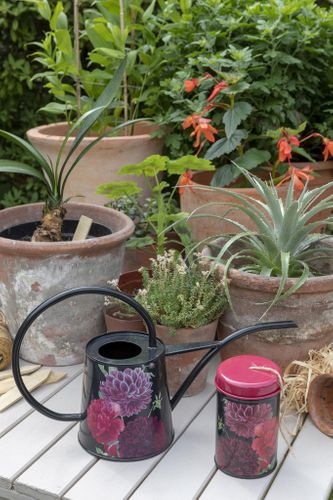 Great spring gifting opportunities and a summer of family fun