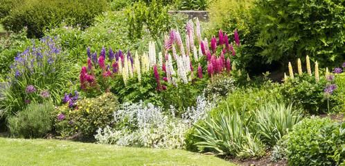 Colourful gardens