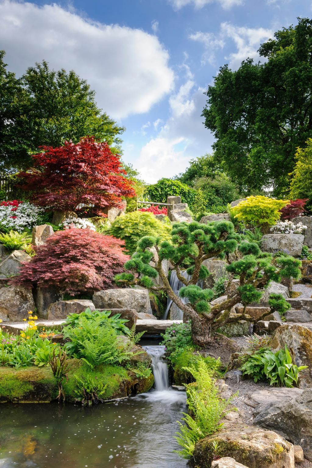 RHS Garden Wisley – Rock Garden. Jason Ingram/RHS