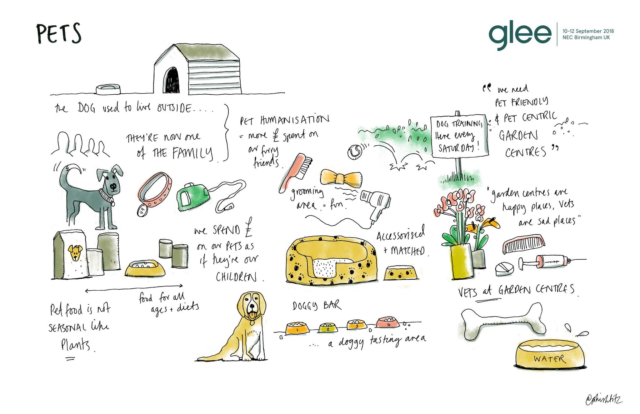 pets at glee sketchnotes