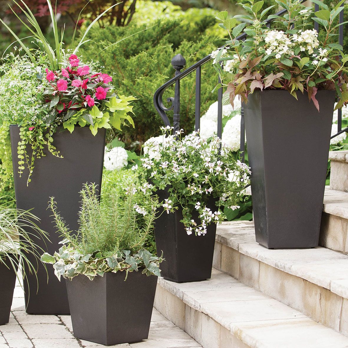 Help your plants to survive heatwaves with Primeur’s stylish Tierra ...