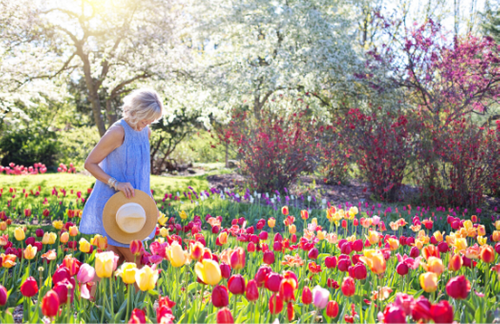 Mental wellbeing and gardening