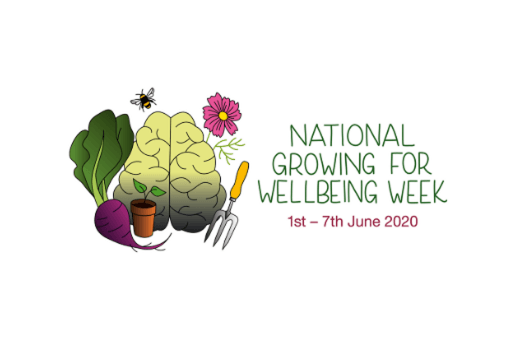 Growing produce and mental wellbeing