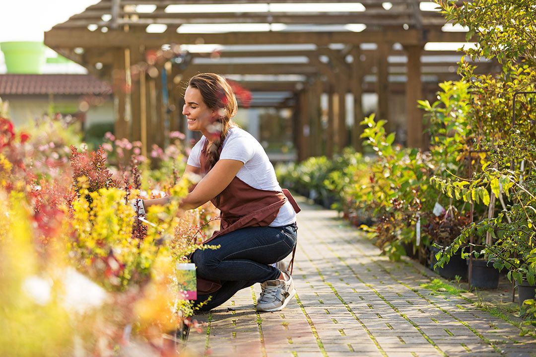 What gardeners are looking for and how garden centres can help