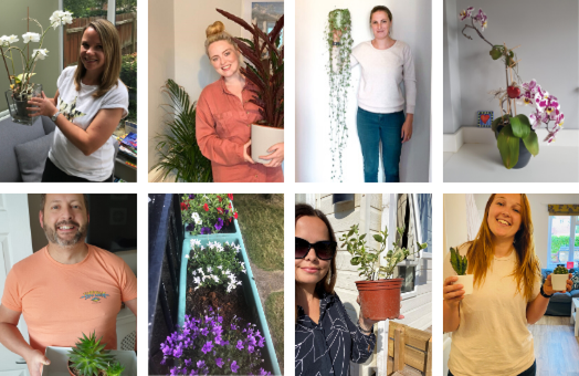 Meet the Glee team (and their houseplants)