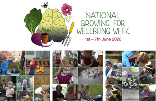 National Growing for Wellbeing Week Success