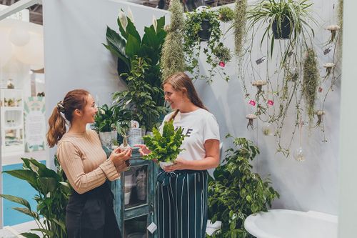 Top reasons why plant buyers should visit the Glee Green Heart in 2021