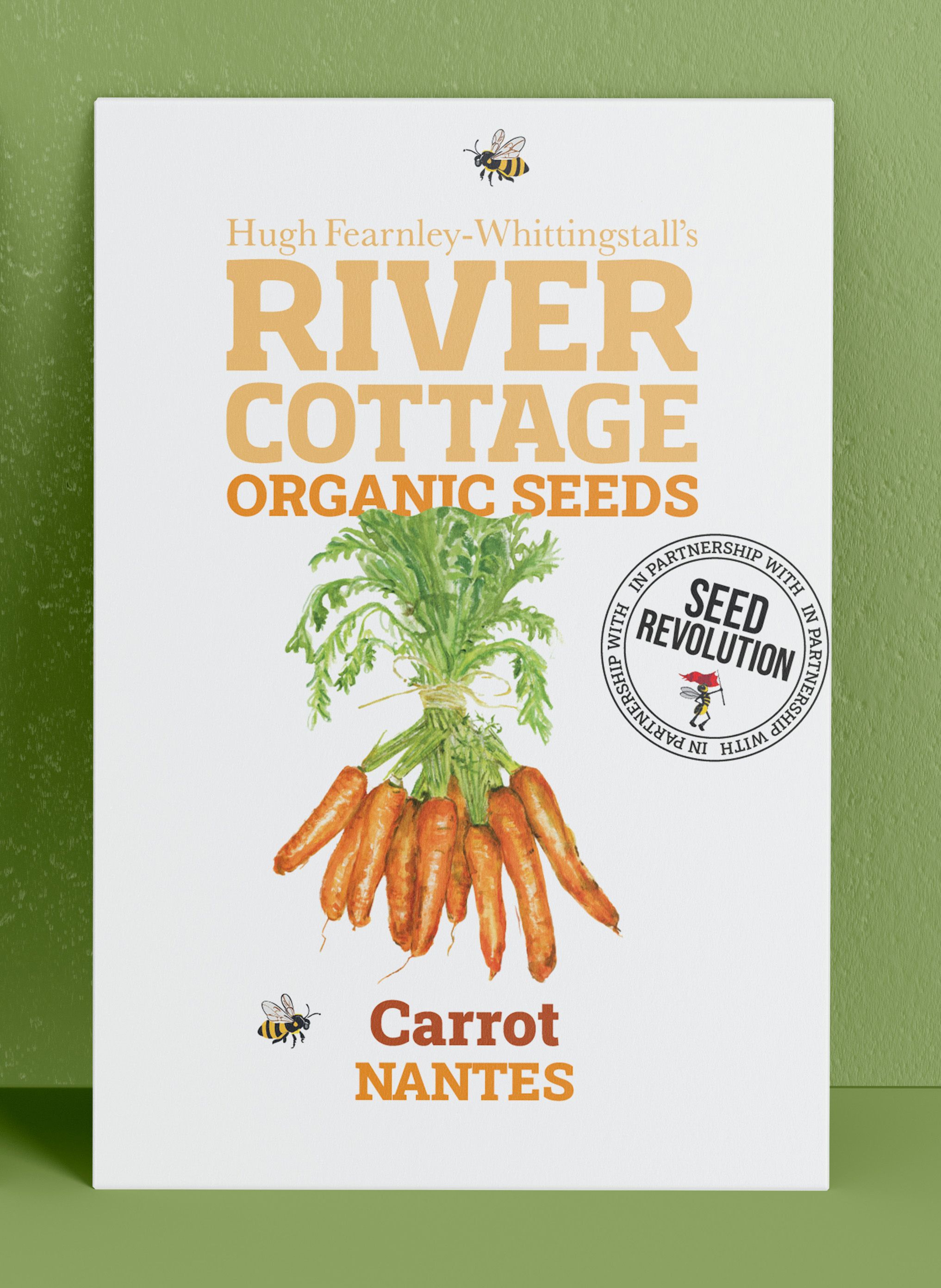 carrot