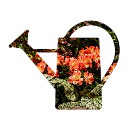 watering can