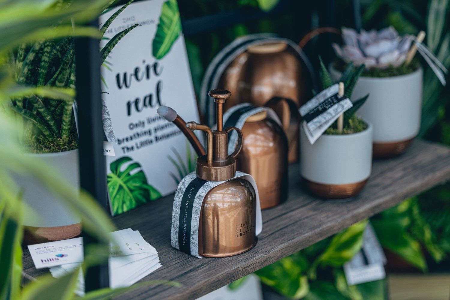 A brass coloured plant mister in front of various succulents