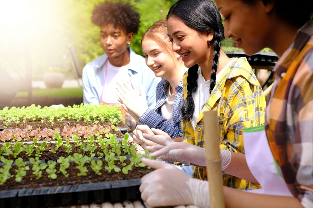 Young Consumers Gardening Retailers