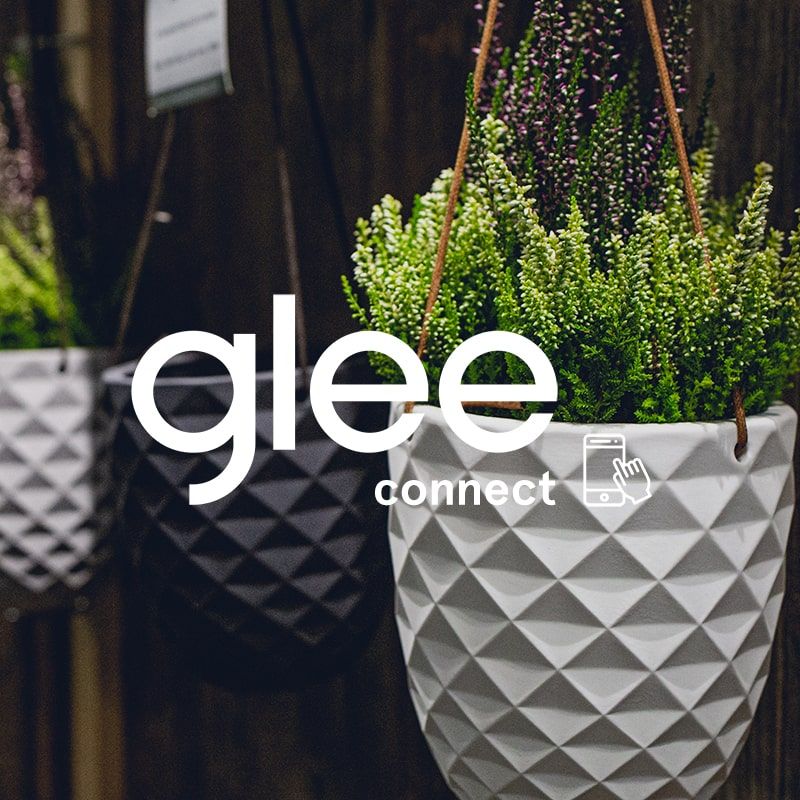 Glee Connect app