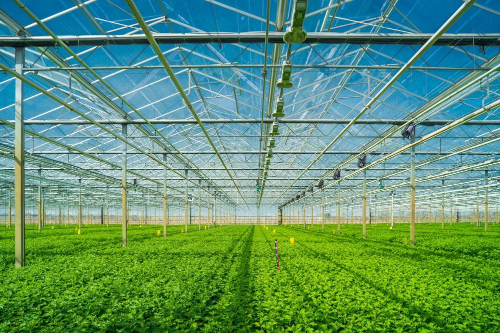 Greenhouse Climate Change Horticulture 