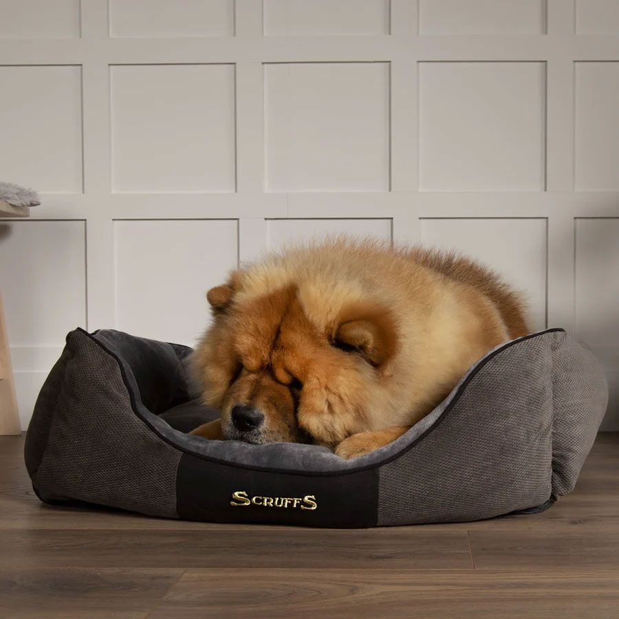 Scruffs dog bed
