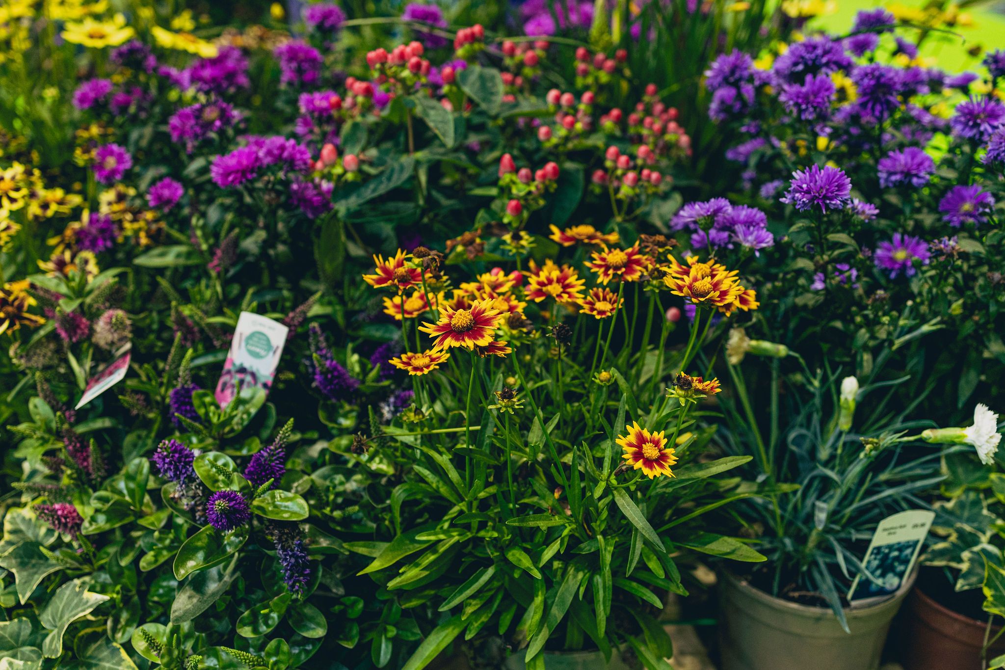 garden retail sourcing suppliers 
