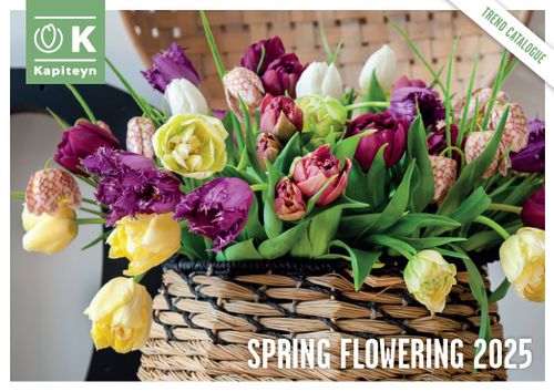 Spring Flowering 2025