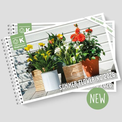 Summer Flowering 2026