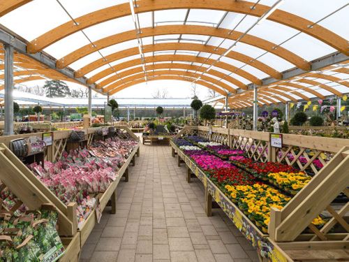 Plant Area Treated Timber Displays, Plant Benching, Staging and display stands for Garden Centres