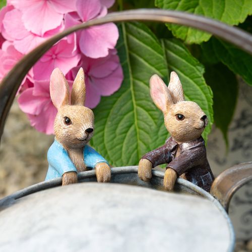 Official Beatrix Potter Garden Gifts