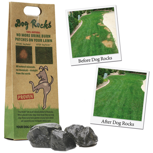 Dog Rocks Retailer Guide