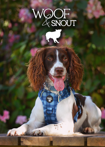 Woof and Snout Brochure