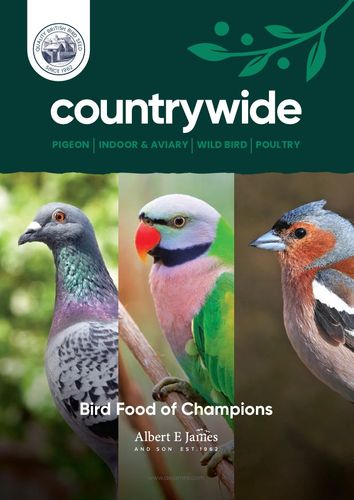 Countrywide Bird Food