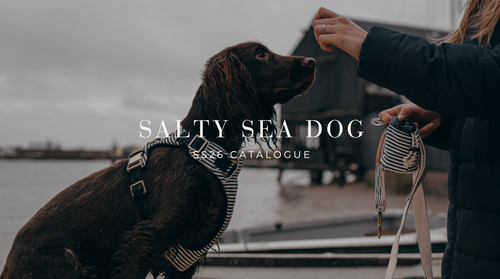 SALTY SEA DOG CO SS26 CATALOGUE