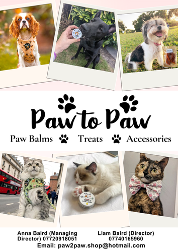 Paw to Paw 2025