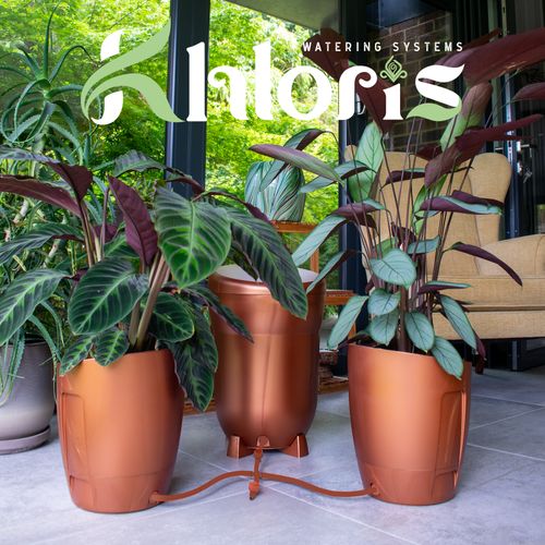Khloris Watering System Intro Letter