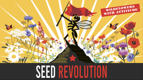 Seed Revolution - British Wildflowers