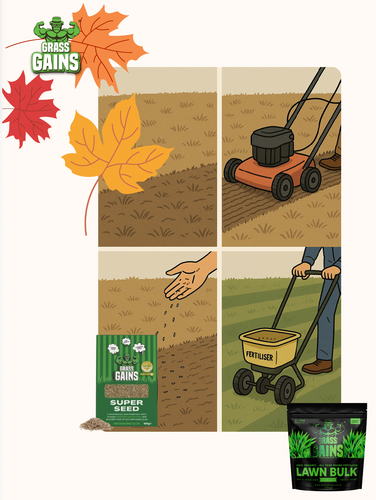 Autumn Deal