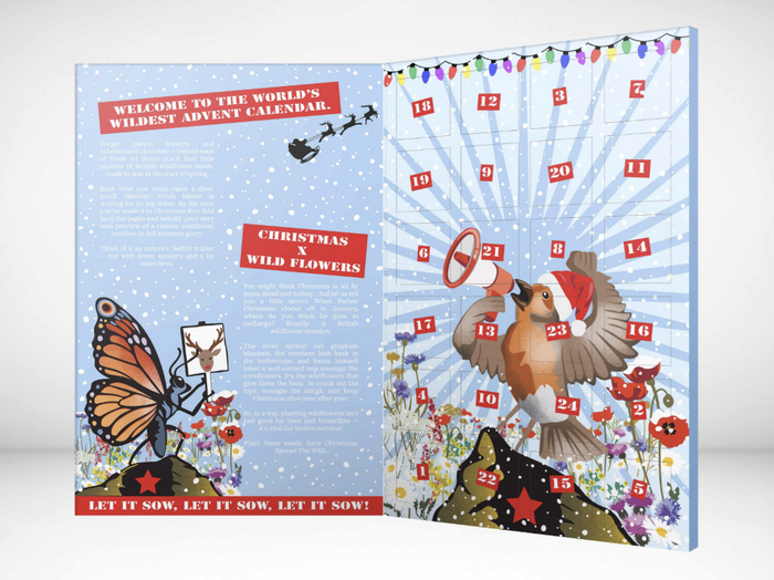 Seed Revolution Advent Calendar FSDU