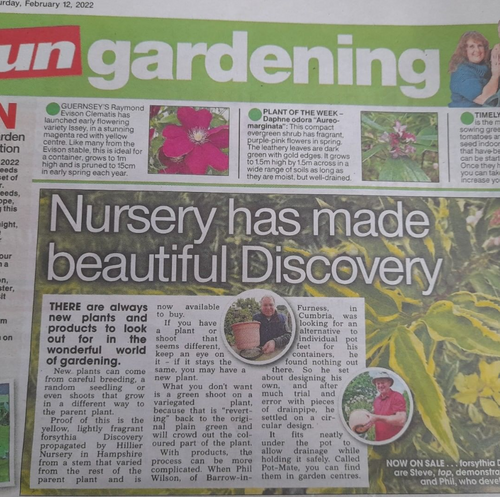 Sun Newspaper - Saturday Garden Page