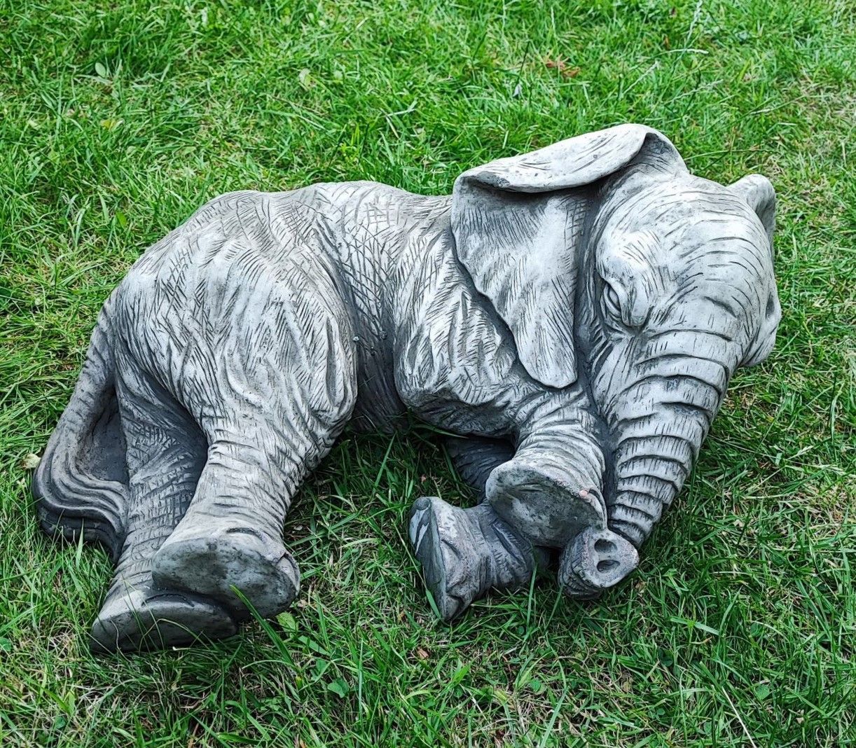 Large resting elephant