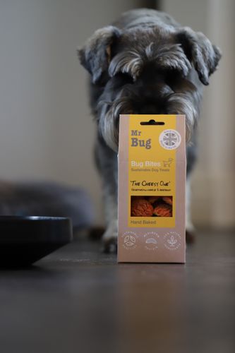 Mr Bug new insect based dog treats