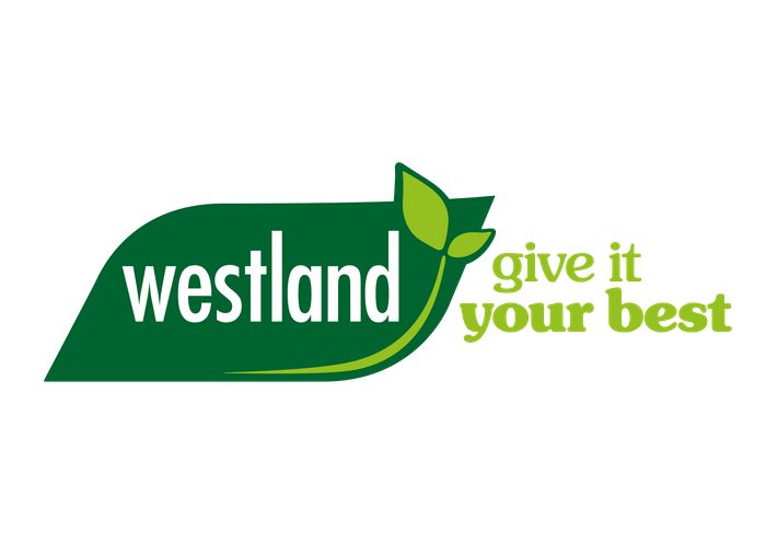 Westland – Set to Impress at Glee 2023