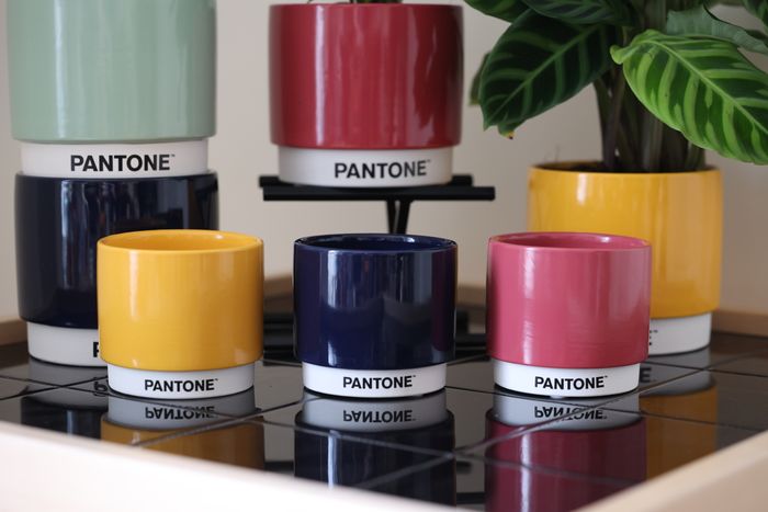 Woodlodge’s hugely successful Pantone and EcoMade ranges go indoors