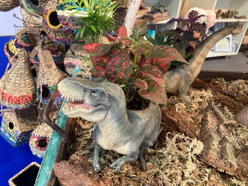 2024 Jardinopia - Dinoplanters!