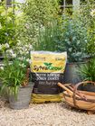 SylvaGrow® With Added John Innes
