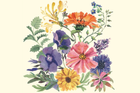 Emma Bridgewater
