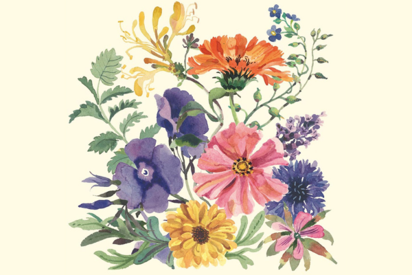 Emma Bridgewater