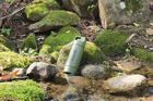 [NEW] PURISOO Plus (Portable Water Purifier Bottle)