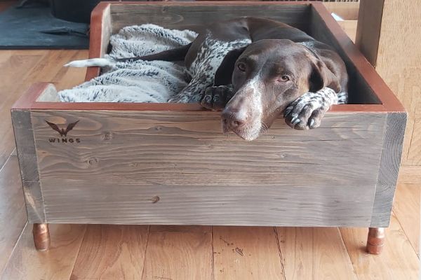 Timber Eco Shield